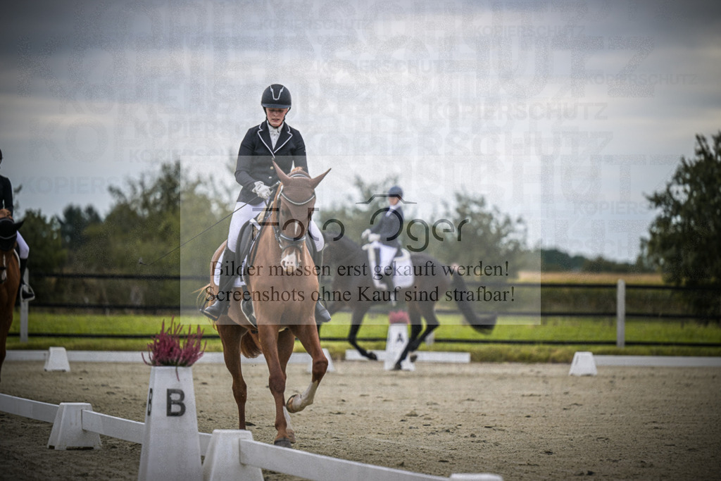 DOS_0272 | Entdecke hochwertige Reitturnierfotos von Foto Oger. Professionell, emotional und authentisch – jetzt Lieblingsmomente im Shop bestellen.Deutschlandweite Turnierfotografie. - Realisiert mit Pictrs.com
