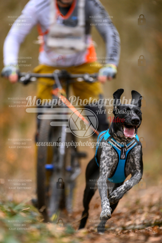 MompixPhotography_ReiatRennen2024_SO_Bike1H-59 | PayLife