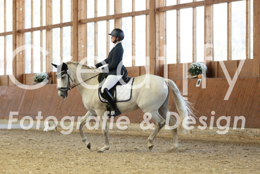 IMG_4959 | Creatify Fotografie