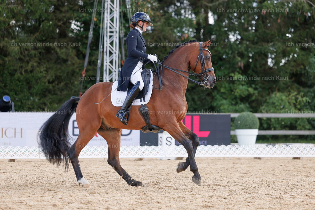 09_2-100-DRESSUR  S_  -StoibPH-5873 | working equitationturnier fotograf videograf stoibphotography marixx film working equitation deutschland reitsport turnierfotografie eventfotografie equestrian events