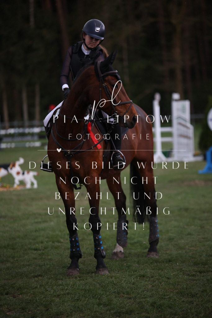 IMGT2147 | pl-fotografie