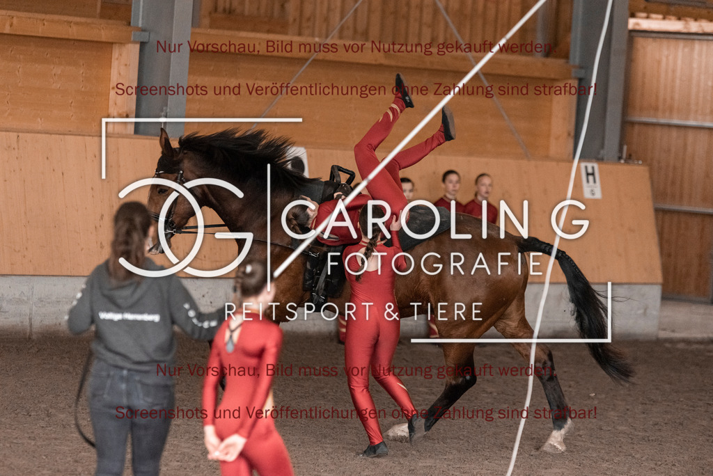 DSC_2108 | Turnierfotografin Carolin Gieschke,Reitsport Turnierfotografie Carolin G Fotografie | Turnierfotos aus Kirchheim/Teck, Esslingen, Stuttgart und dem Bodenseekreis