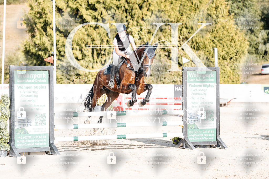 CK909524 | Turnierfotografie Pferdefotografie Trier Rheinland-Pfalz Pferdesport Reitsport Tierfotografie Sportfotografie Pferdevideo Pferdevideografie Equestrianvideography equestrianphotography  - Realisiert mit Pictrs.com