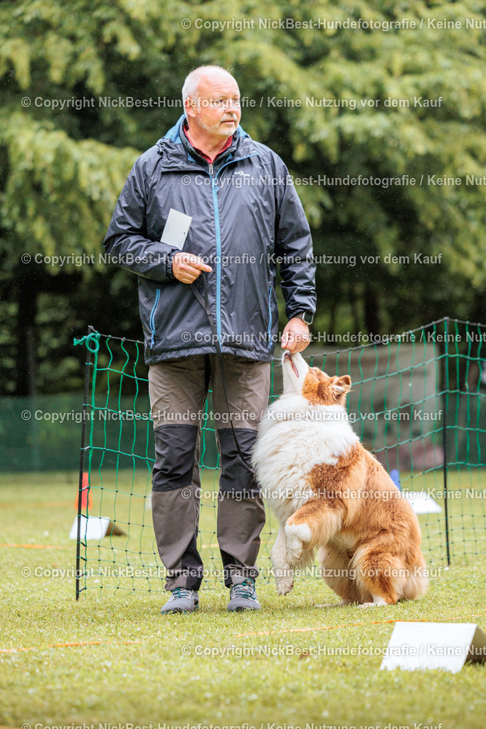 RO-Blumenthal-2026-Nickbest-Hundefotografie-3702 | Dein Hund! Dein Moment! Deine Erinnerungen! Hundefotografie in Bremen Blumenthal. Ich fange die besonderen Momente deines Vierbeiners ein – ob Indoor mit Blitzanlage oder in der freien Natur. Sicher dir dein Moment und dein Termin für eure Erinnerungen.
