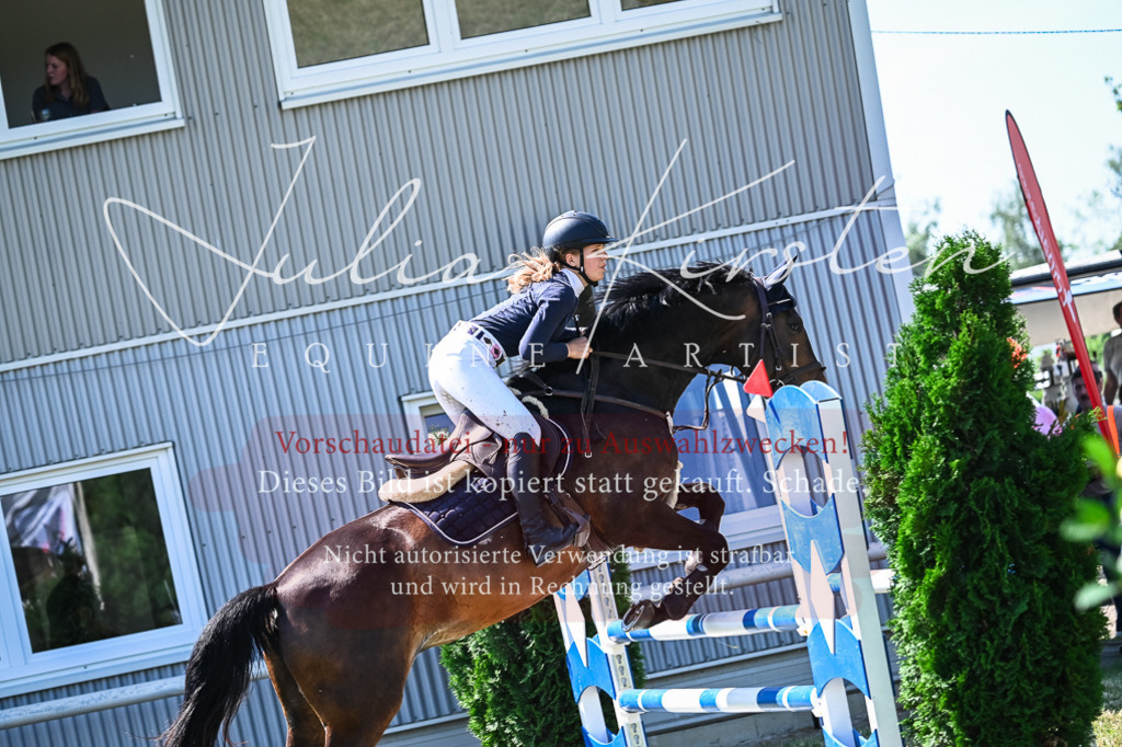 DSC_1300 | Pferde- und Turnierfotografie in Westsachsen. Pferdeportraits, Auftragszeichnungen und intuitive Kunst.