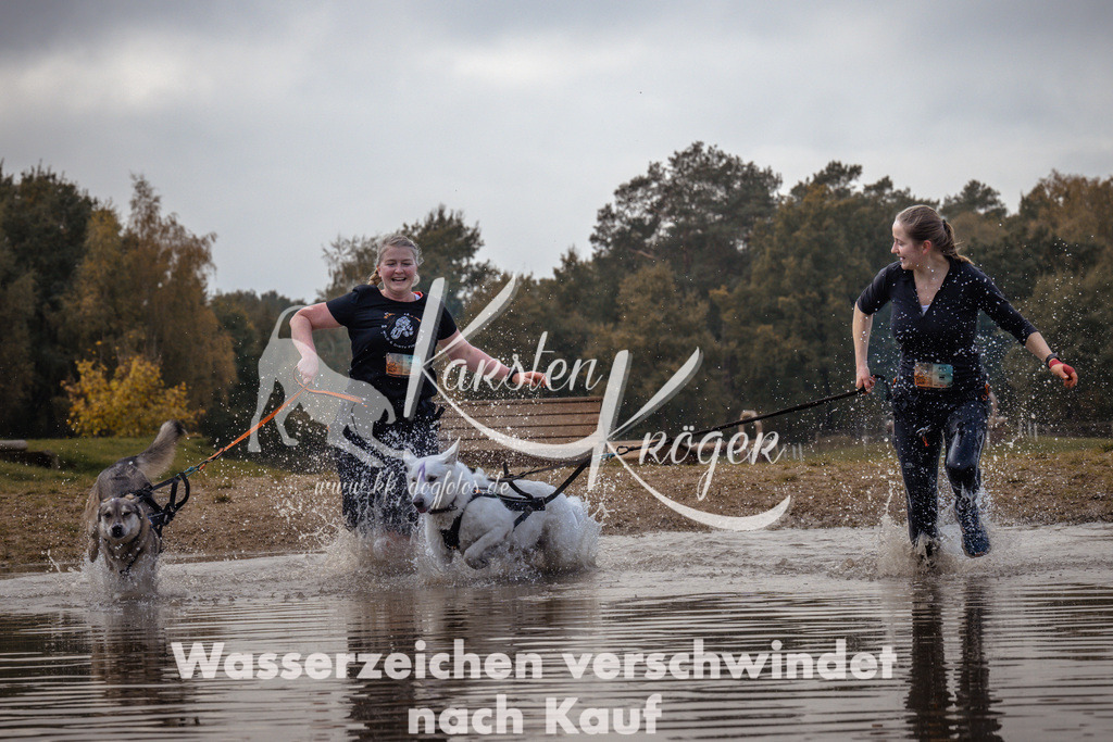 1339_ZZ94514 | kk-dogfotos