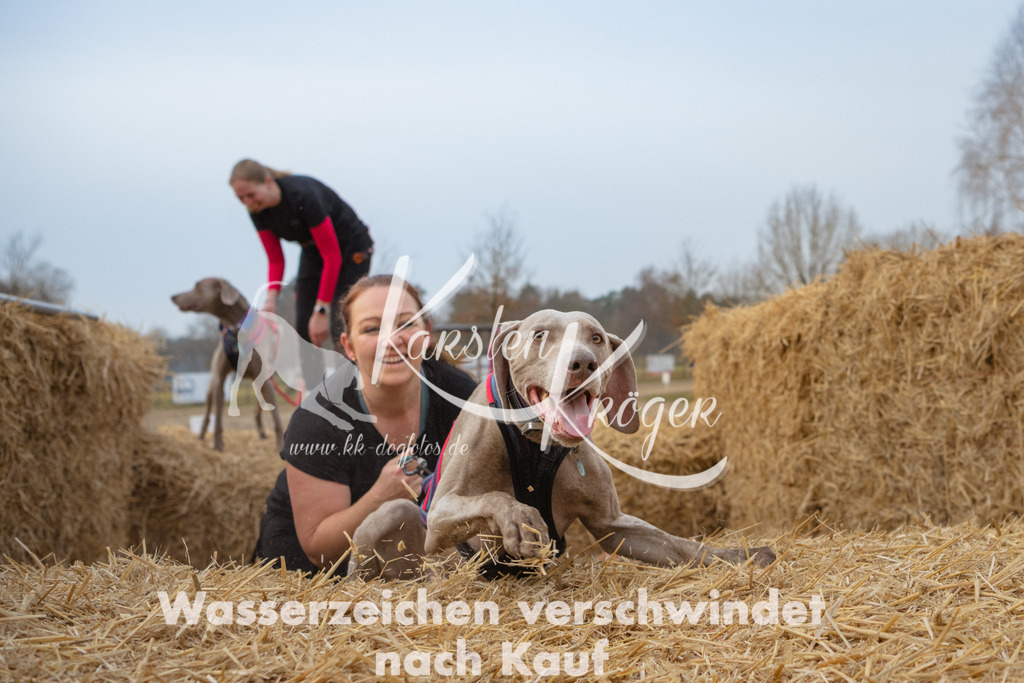 0840_ZZ94142 | kk-dogfotos