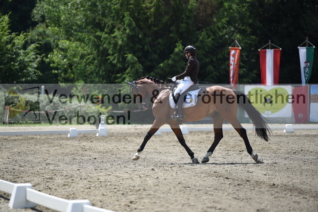 DSC_1120 | equestrian-live-com