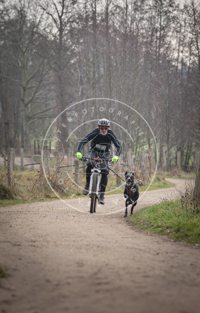 Pfotenfotografie_DV3A1487 | Hundefotografie, Tierfotograf, Pfotenfotografie, Fotoshooting Hund, Hunde Portrait, Hundesport, Hundeportraits, Heideshooting, Hunde, Sportfotograf, Hundefotograf, Turnierhundsport, THS,  - Realisiert mit Pictrs.com