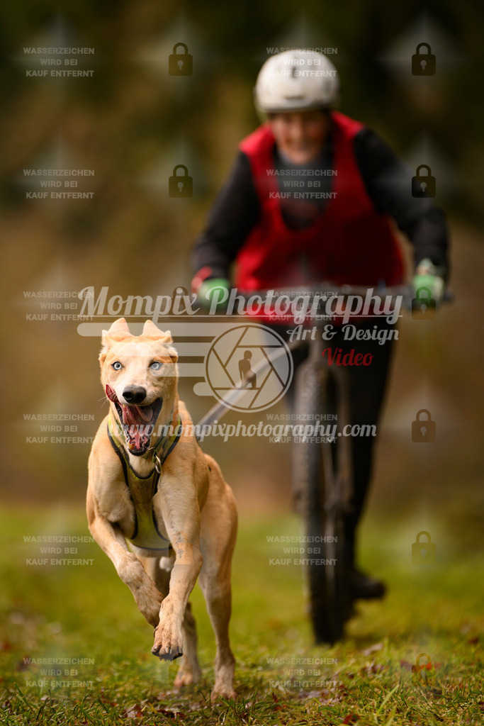 MompixPhotography_2SSTSSBW_2025_SO_Scooter-41 | PayLife