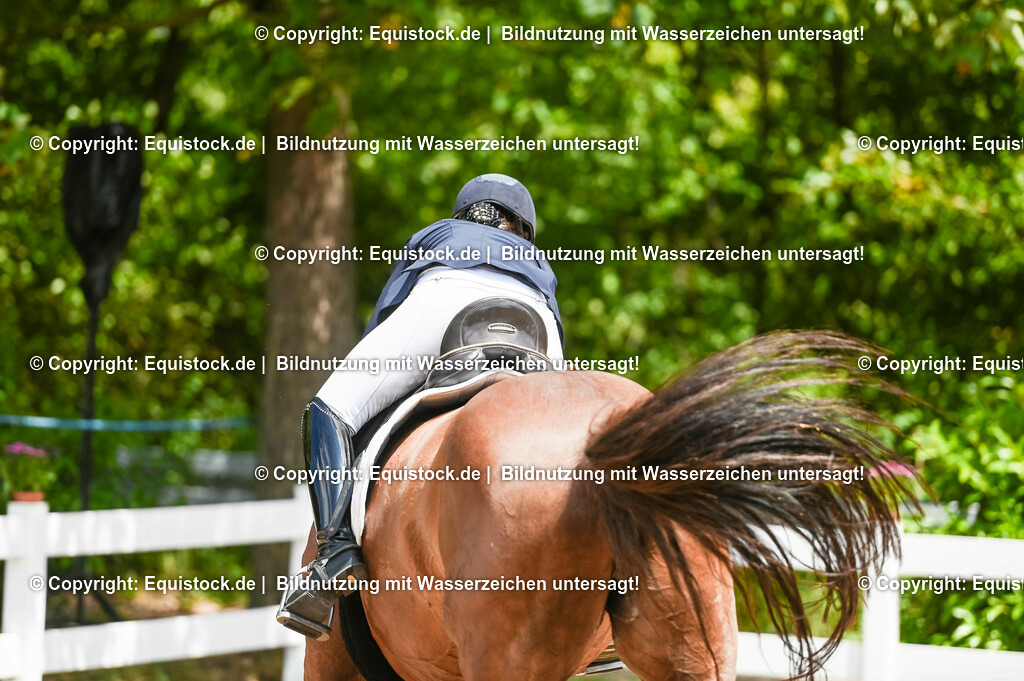 20230716_03_Dressurprfg. Kl.L - Tr._0417 | equistock