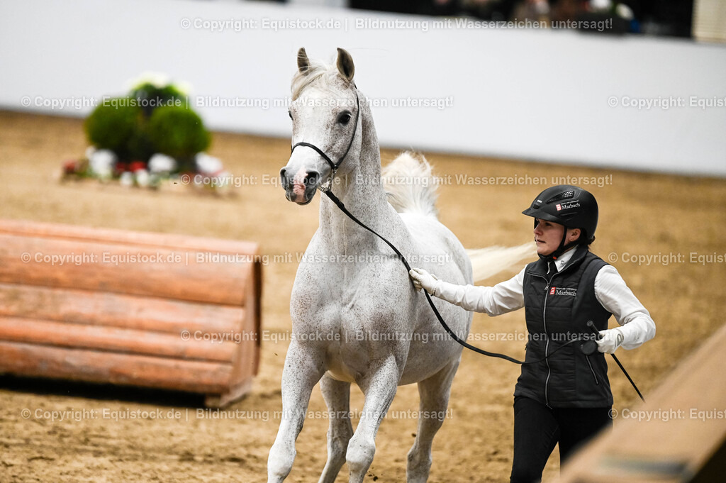 20260307_Hengstvorstellung-Marbach_0432 | equistock