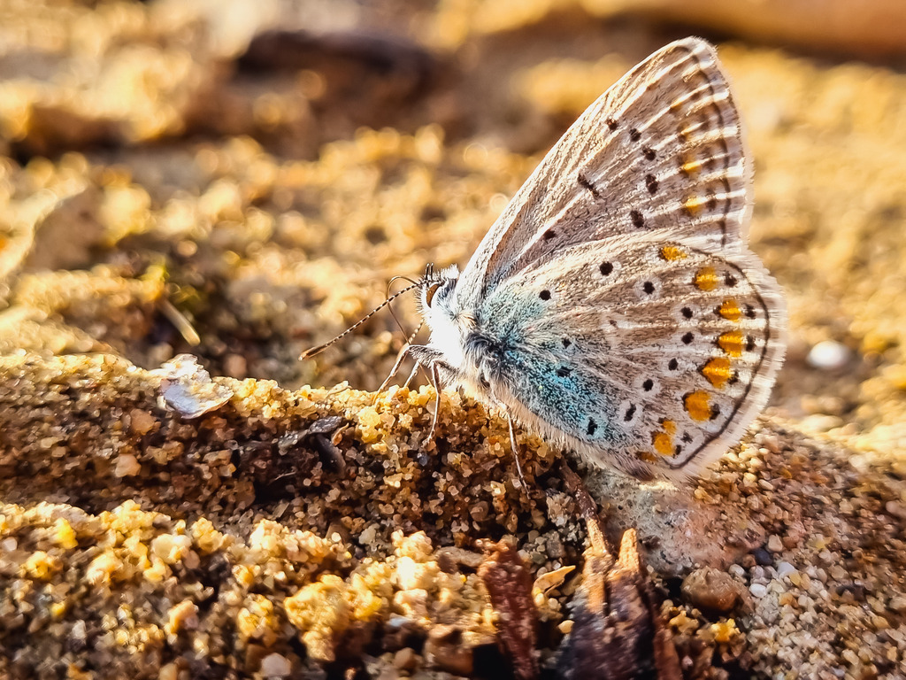 PSX_20220722_234139 | mtkfoto_ - Realisiert mit Pictrs.com