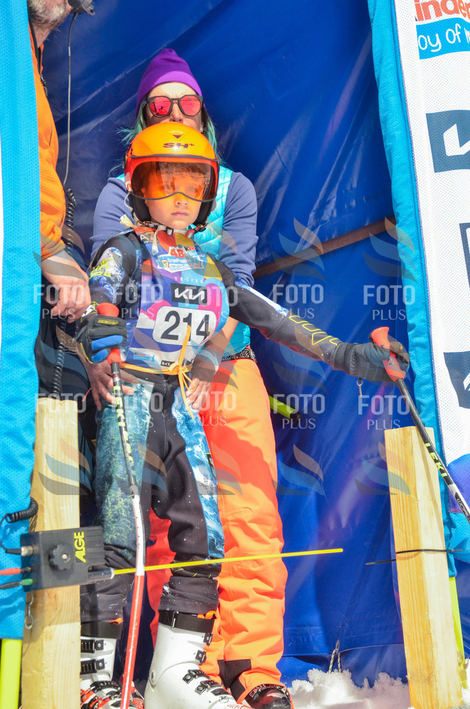 _ELE7084 | holidayphoto