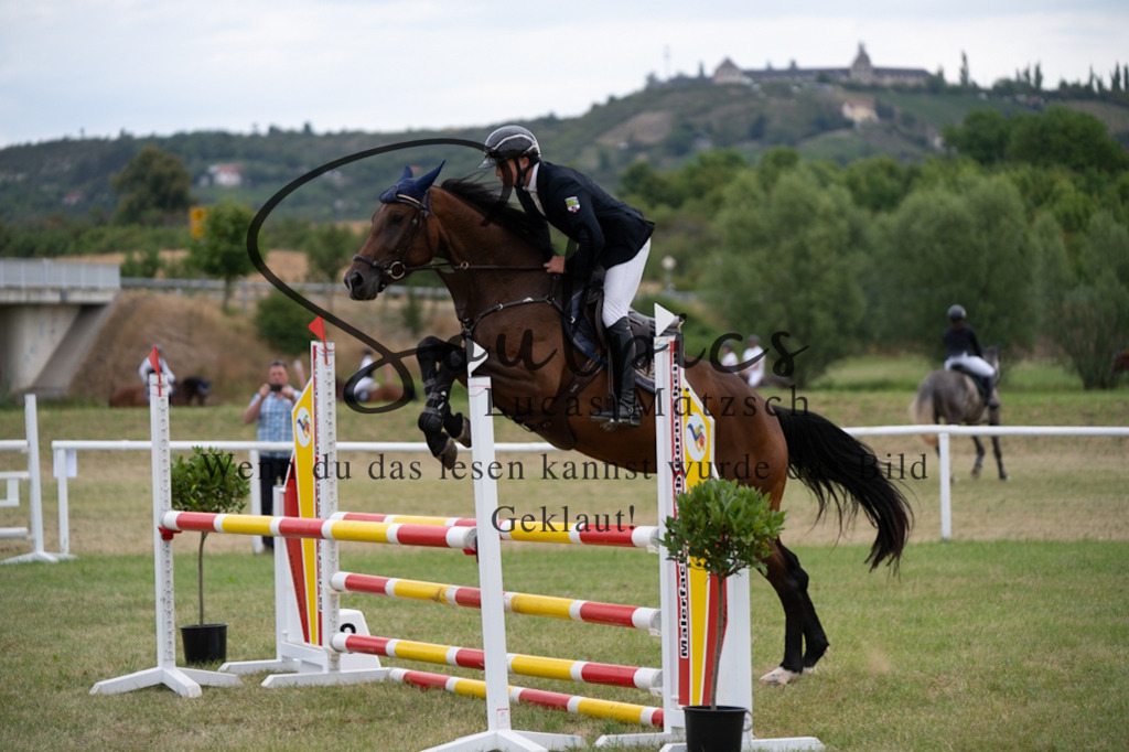 A7V01296 | Pferdefotograf