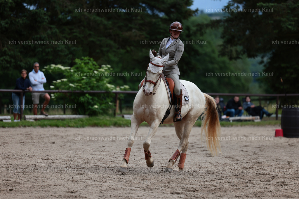 Masterclass_stoibphotography_C2_L6924.JPG | working equitationturnier fotograf videograf stoibphotography marixx film working equitation deutschland reitsport turnierfotografie eventfotografie equestrian events