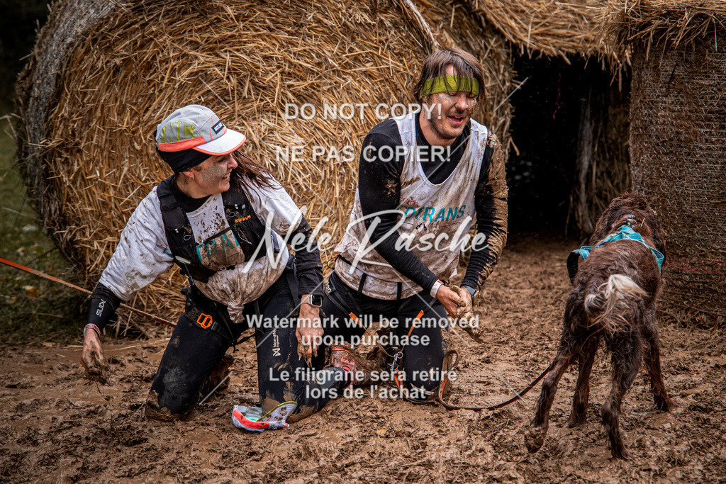 nelerasche_Hunsrück_So09-11_63 | nelerasche
