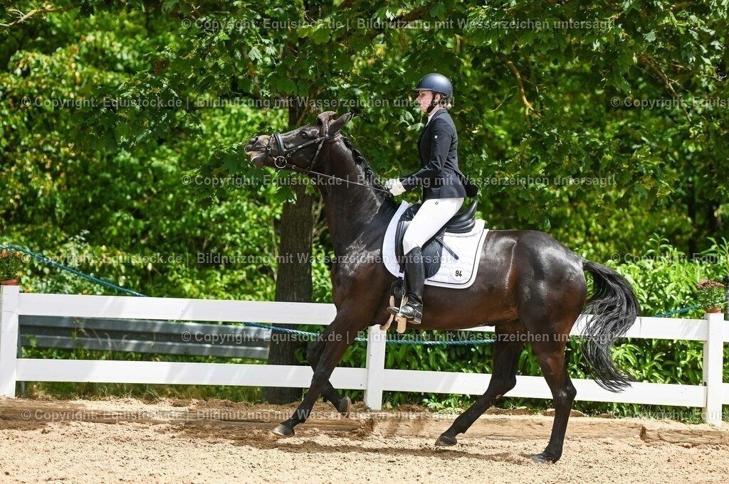 20230715_05_Dressurprüfung Kl.A++_0383 | equistock