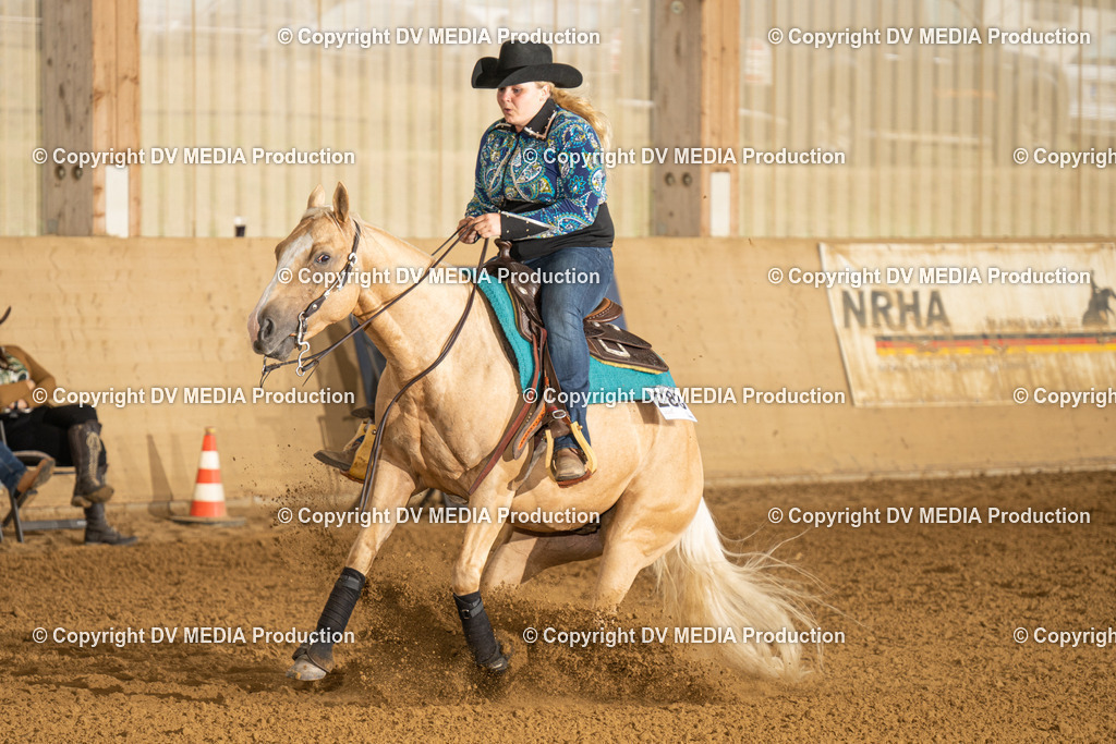 LAU00778 | dv-media-shop - Realisiert mit Pictrs.com