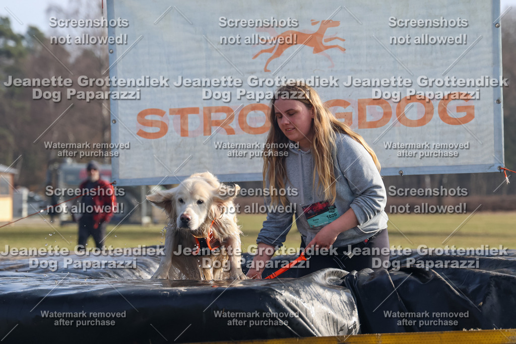 Dog Paparazzi - Strongdog North Mrz26-679 | Dog Paparazzi Jeanette Grottendiek Fotografie & Videografie - Realisiert mit Pictrs.com