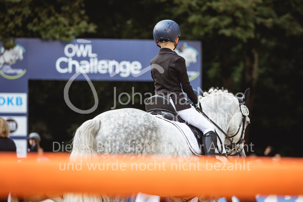 240915_OWLCh_FuehrzuegelWB-626 | Deine schönsten Turniermomente als professionelle Fotos! Entdecke hochwertige Pferdesport-Fotografie im Online-Shop. Jetzt Fotos finden & bestellen!