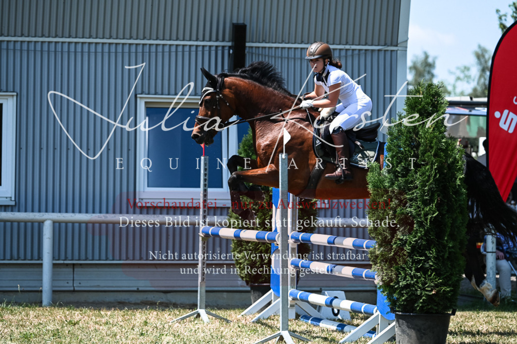 DSC_0402 | Pferde- und Turnierfotografie in Westsachsen. Pferdeportraits, Auftragszeichnungen und intuitive Kunst.
