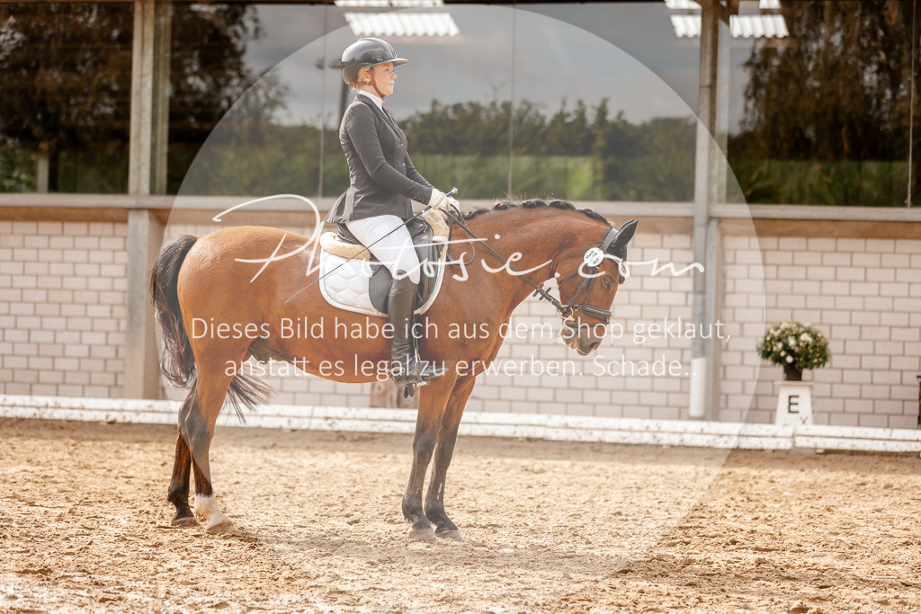 3I6A7554 | Stimmungsvolle Portraits und Reitsportfotografie im Ruhrgebiet und im Münsterland.

Pferdefotografie, Hundefotografie, Tierfotografie, Reportagen, Portraits von Tier und Mensch, Turnierfotografie in Bochum, Recklinghausen, Marl, Haltern am See, Dülmen.. - Realisiert mit Pictrs.com