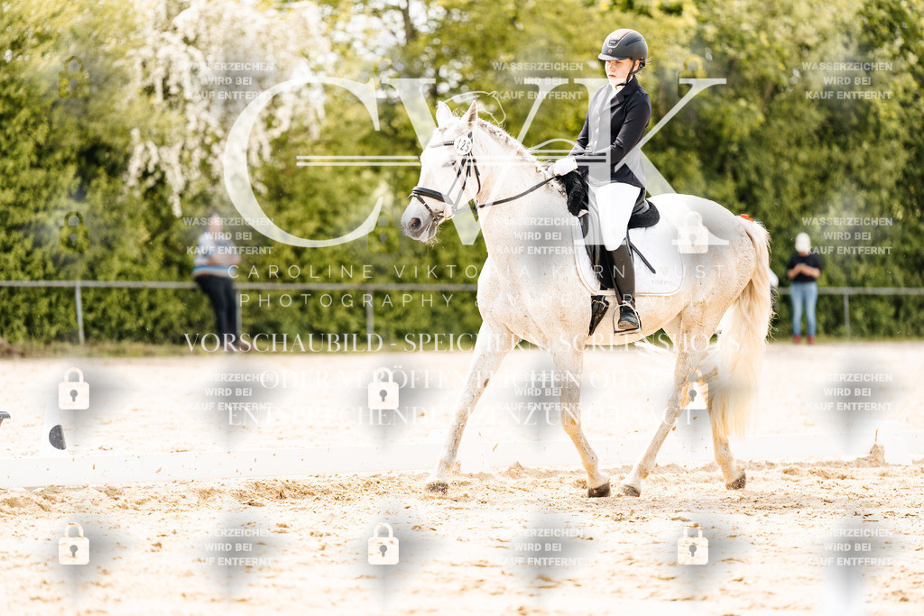 CK902504 | Turnierfotografie Pferdefotografie Trier Rheinland-Pfalz Pferdesport Reitsport Tierfotografie Sportfotografie Pferdevideo Pferdevideografie Equestrianvideography equestrianphotography  - Realisiert mit Pictrs.com