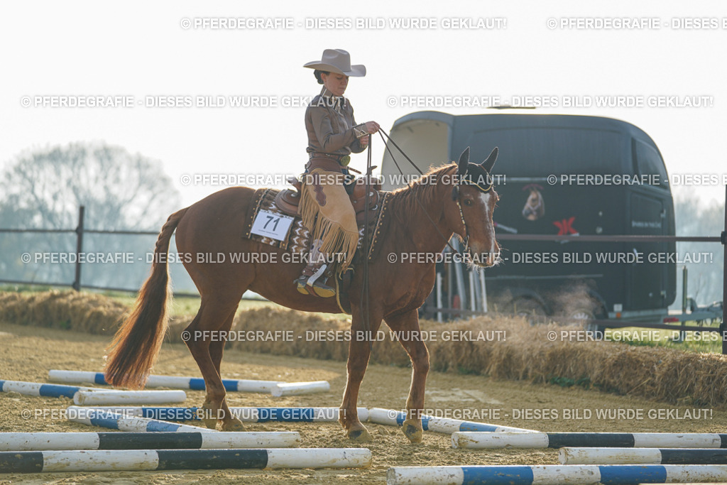 DSC09736 | Pferdegrafie