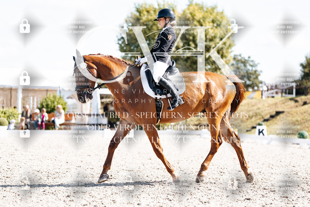 CK902875 | Turnierfotografie Pferdefotografie Trier Rheinland-Pfalz Pferdesport Reitsport Tierfotografie Sportfotografie Pferdevideo Pferdevideografie Equestrianvideography equestrianphotography  - Realisiert mit Pictrs.com