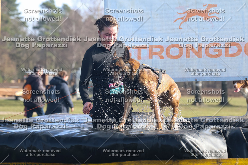Dog Paparazzi - Strongdog North Mrz26-1176 | Dog Paparazzi Jeanette Grottendiek Fotografie & Videografie - Realisiert mit Pictrs.com