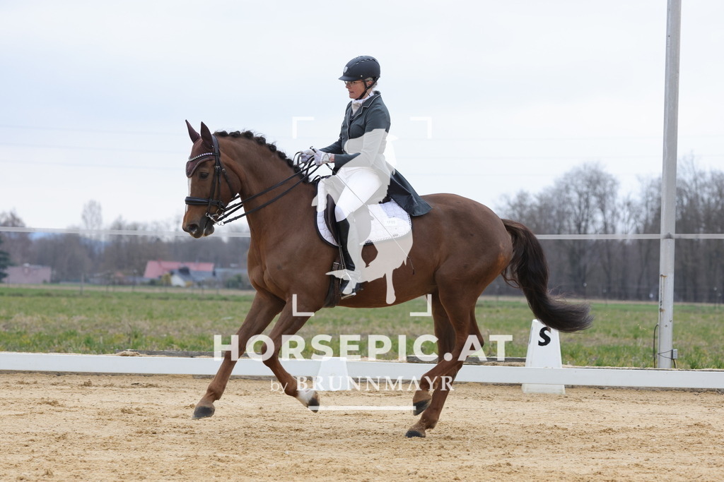 0P6A5450 | Willkommen bei Brunnmayr - Design & Fotografie – Ihrem Spezialisten für Reitturniere und Pferdeveranstaltungen in Oberösterreich, Salzburg und Bayern! Seit über 17 Jahren sind wir leidenschaftlich dabei.