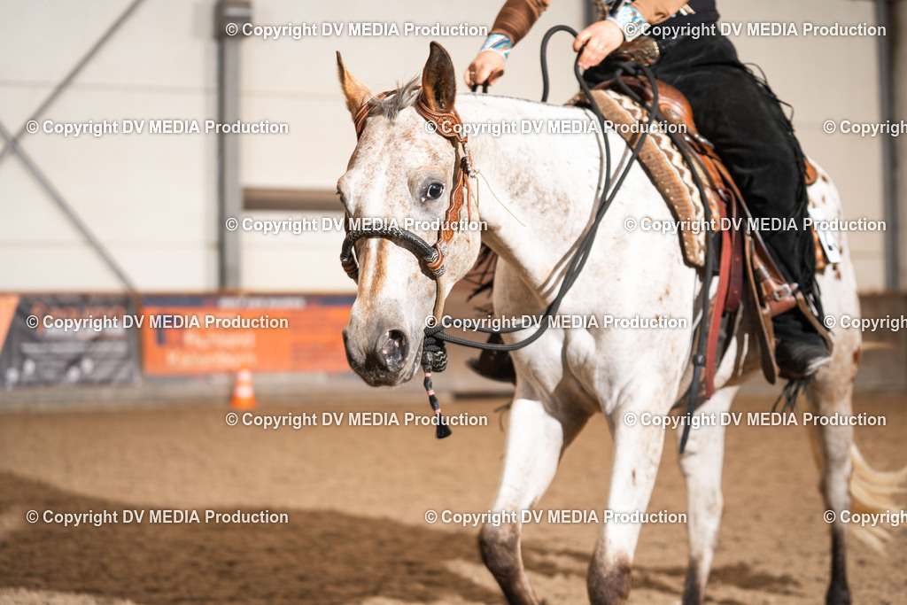 Heiligenwald Tag 1-2571 | dv-media-shop - Realisiert mit Pictrs.com