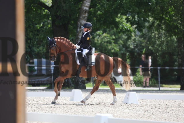 Rot am See_2024_Prfg.Nr.21_Qual.BCH_und_LCH_5-jähr.Ponys_Mary-Ann Hollenbach_Dein Traum (6) | Alle Fotos der Reiterjournal Fotografin Doris Matthaes im Reiterjournal Online-Fotoshop. - Realisiert mit Pictrs.com