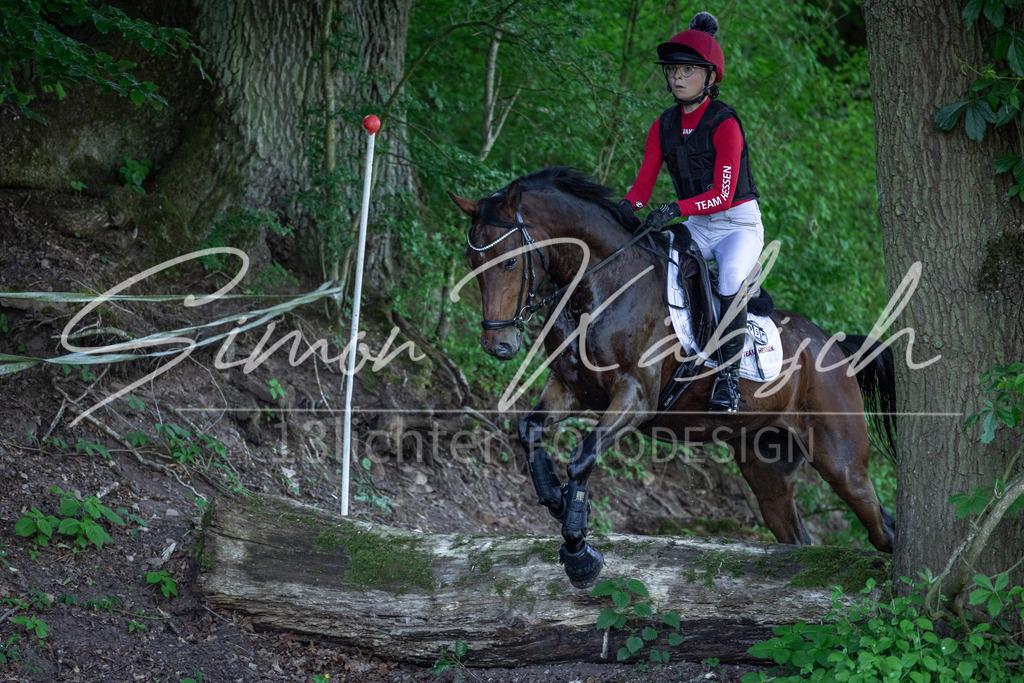 20260523-_3LI5971 | Tierfotografie Pferde, Hunde, Katzen, Haustiere.
Turnierfotografie Reitturniere, Reiten, Springreiten, Dressur in Hanau, dem Main-Kinzig-Kreis und dem Rhein-Main- Gebiet um Frankfurt
