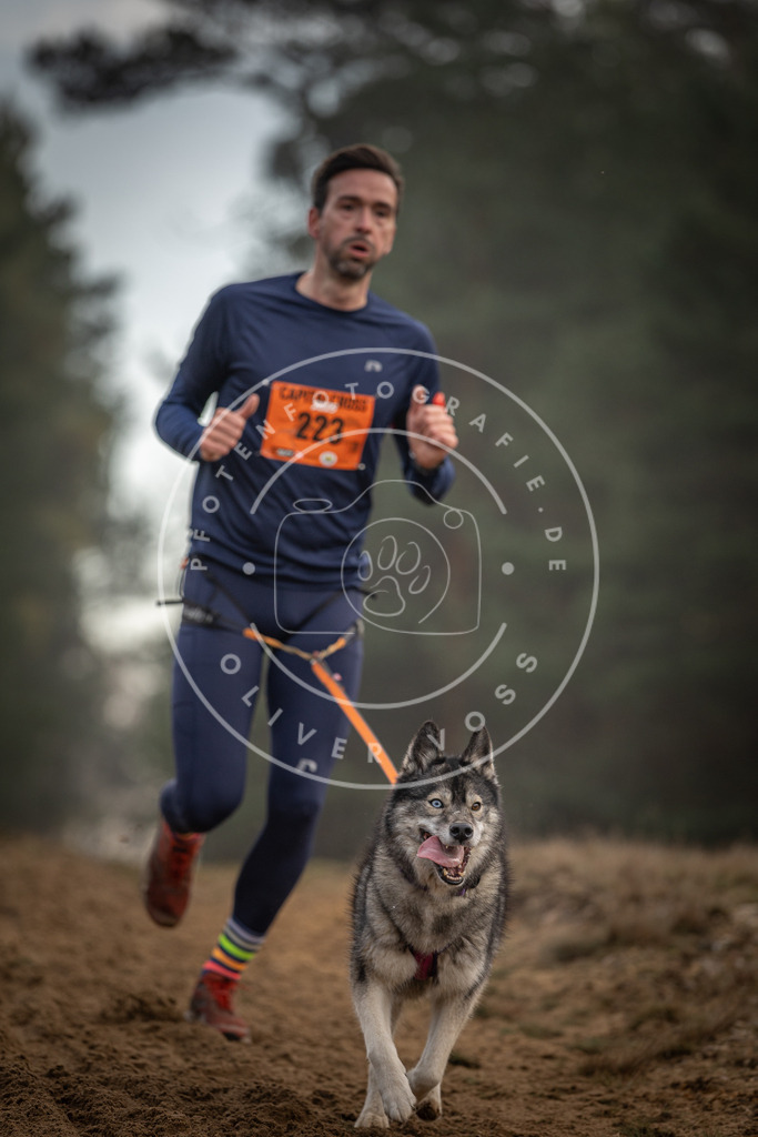 Pfotenfotografie_DV3A5380 | Hundefotografie, Tierfotograf, Pfotenfotografie, Fotoshooting Hund, Hunde Portrait, Hundesport, Hundeportraits, Heideshooting, Hunde, Sportfotograf, Hundefotograf, Turnierhundsport, THS,  - Realisiert mit Pictrs.com