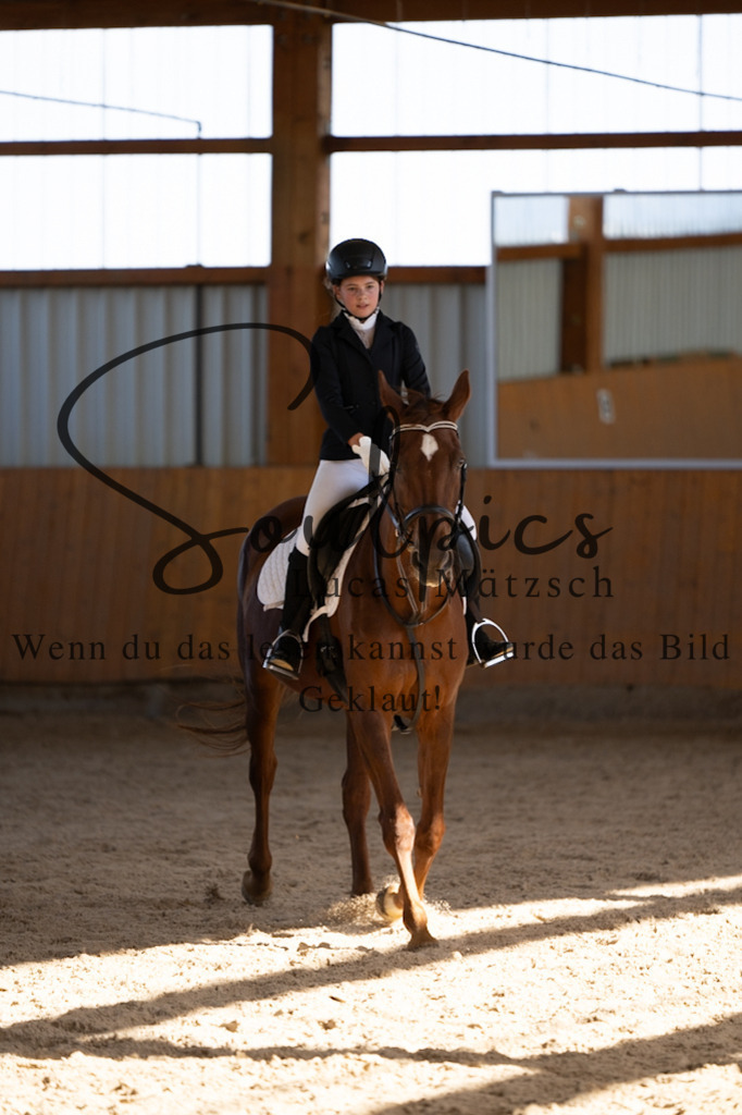 A7V02089 | Turnier/Reitfotograf