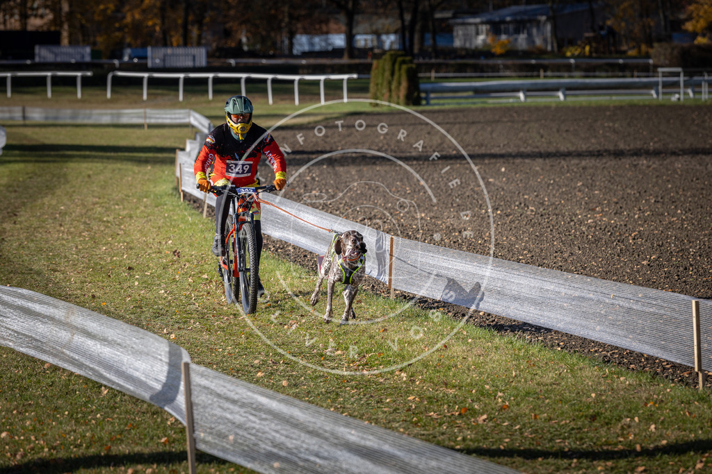 CaniXpix_DV3A7097 | Hundefotografie, Tierfotograf, Pfotenfotografie, Fotoshooting Hund, Hunde Portrait, Hundesport, Hundeportraits, Heideshooting, Hunde, Sportfotograf, Hundefotograf, Turnierhundsport, THS,  - Realisiert mit Pictrs.com