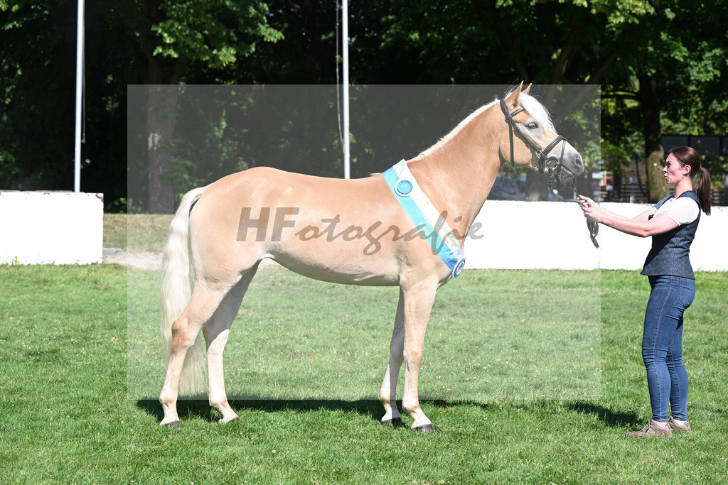 Kat-Nr. 16 Nancy v. Bugatti_Stadler_18251596 | hf-fotografie - Realizzato con Pictrs.com