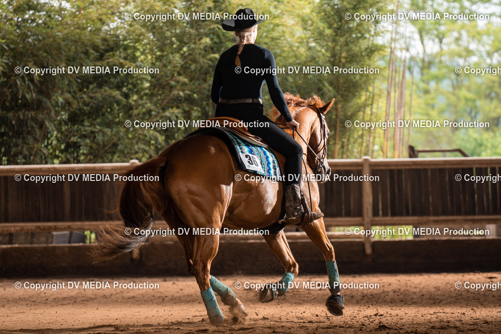 Erbach Tag 2-760 | dv-media-shop - Realisiert mit Pictrs.com