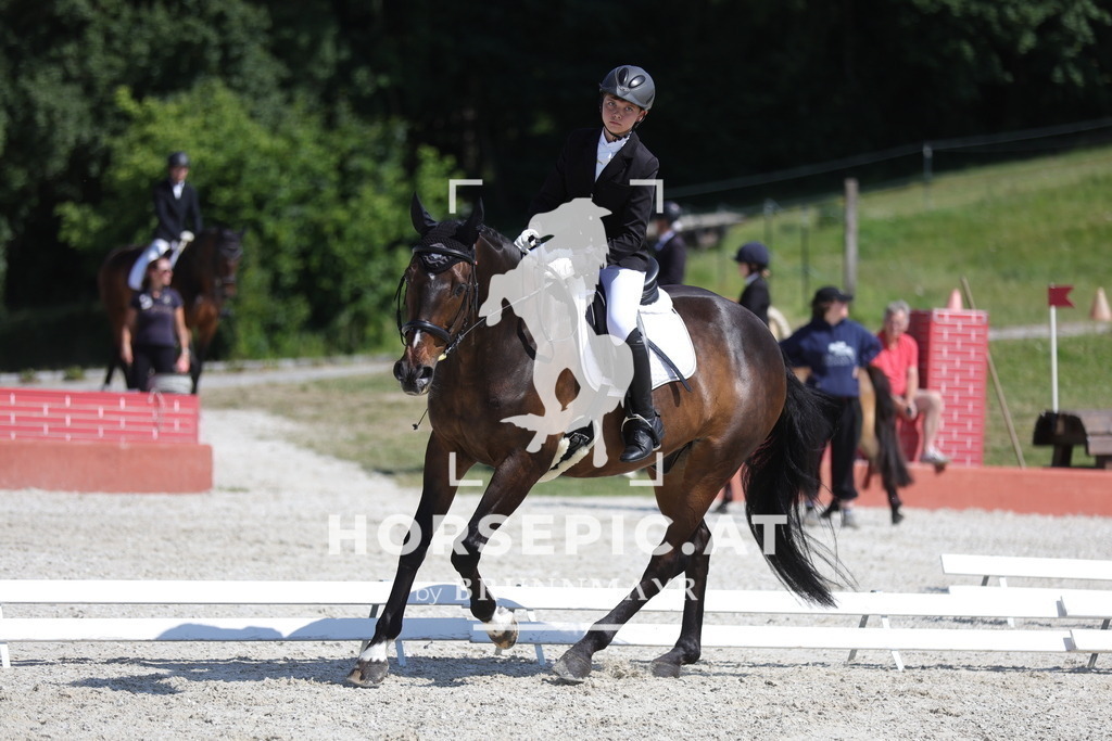 0P6A0161 | Willkommen bei Brunnmayr - Design & Fotografie – Ihrem Spezialisten für Reitturniere und Pferdeveranstaltungen in Oberösterreich, Salzburg und Bayern! Seit über 17 Jahren sind wir leidenschaftlich dabei.