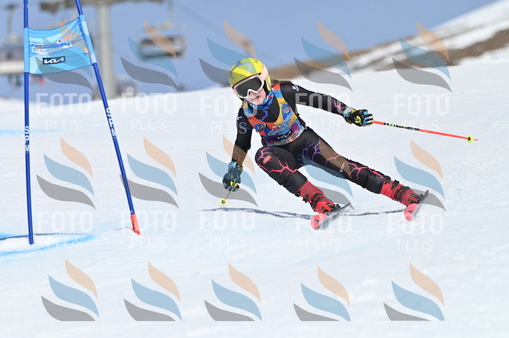 BGV_0081 | holidayphoto