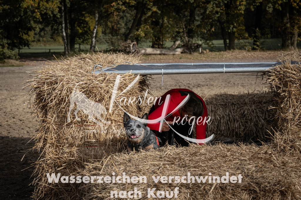 1215_ZZ93826 | kk-dogfotos