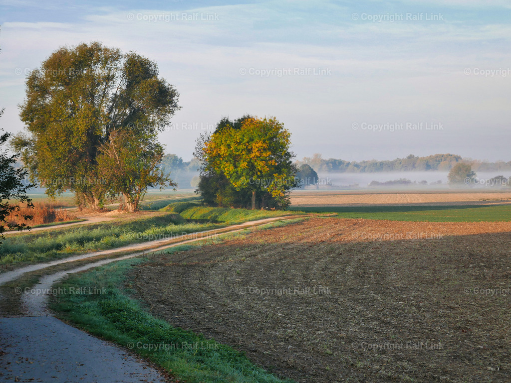Rheinauen_mit_Nebel | Stockfotos, Fotos mit Miniaturfiguren und kreativen Ideen. Dabei auch vieles aus der Metropolregion Rhein-Neckar. 
