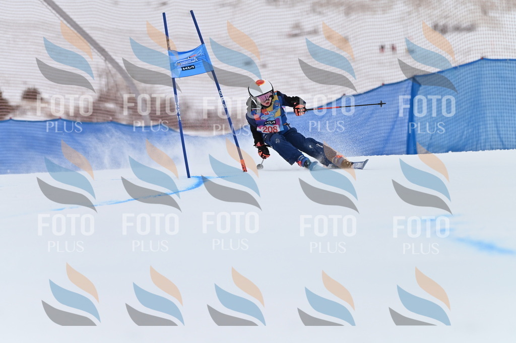 BGV_2270 | holidayphoto