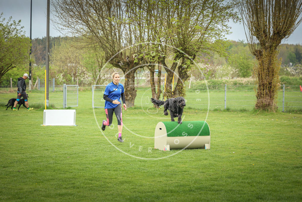 Pfotenfotografie_0L8A9589 | Hundefotografie, Tierfotograf, Pfotenfotografie, Fotoshooting Hund, Hunde Portrait, Hundesport, Hundeportraits, Heideshooting, Hunde, Sportfotograf, Hundefotograf, Turnierhundsport, THS,  - Realisiert mit Pictrs.com