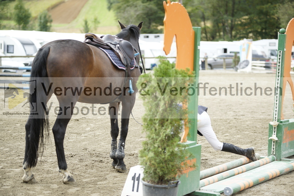 _DSC5220 | equestrian-live-com