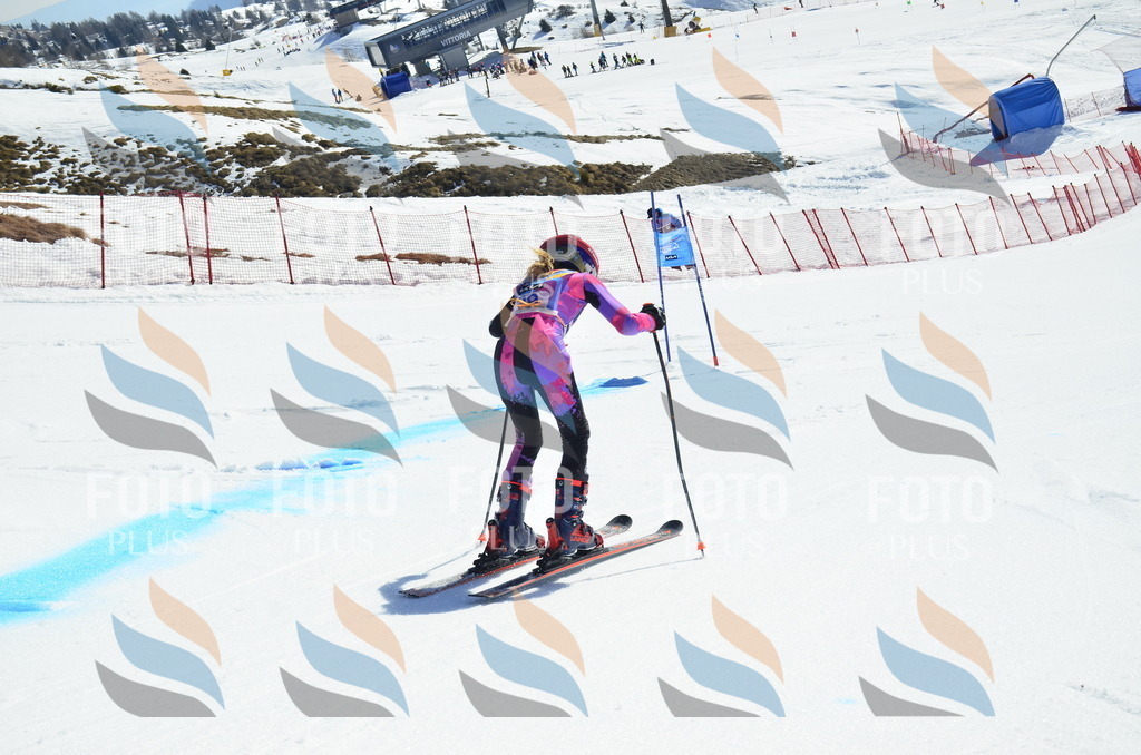 _ELE0054 | holidayphoto