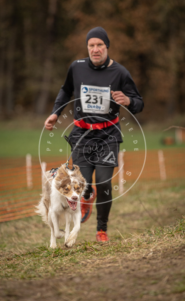 DV3A3077 | Hundefotografie, Tierfotograf, Pfotenfotografie, Fotoshooting Hund, Hunde Portrait, Hundesport, Hundeportraits, Heideshooting, Hunde, Sportfotograf, Hundefotograf, Turnierhundsport, THS,  - Realisiert mit Pictrs.com