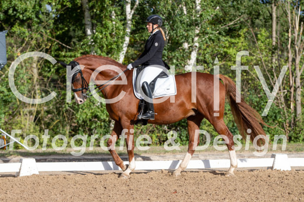 IMG_6175 | Creatify Fotografie